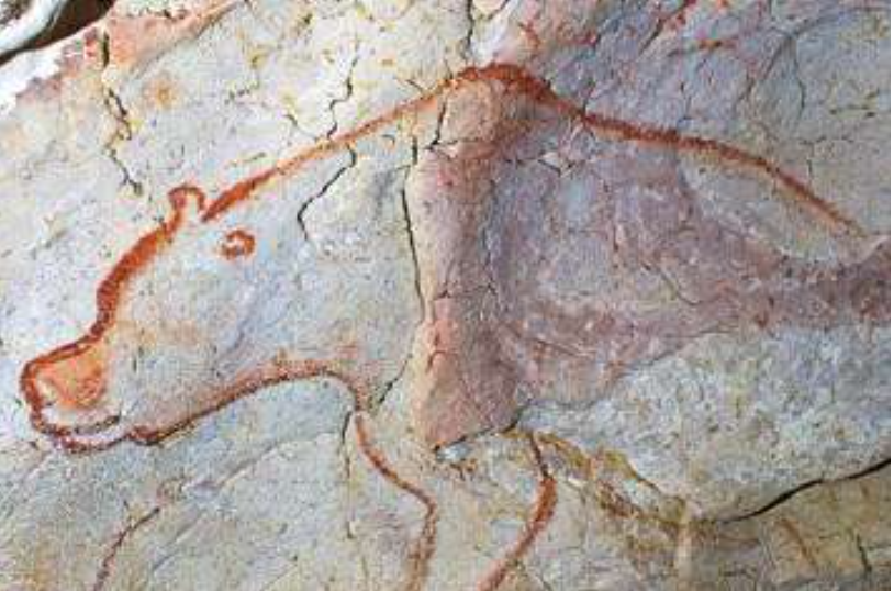 Пещера Шове, Франция наскальная живопись 28 000 лет до н.э.