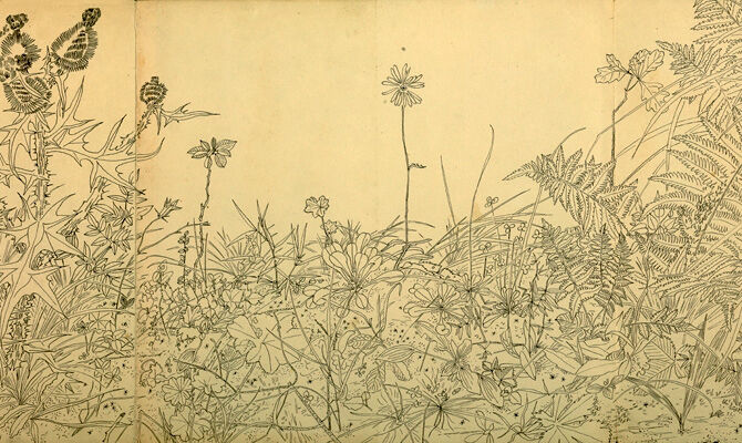 Дмитрий Плавинский. Книга Трав. 1963