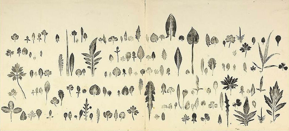 Дмитрий Плавинский. Книга Трав. 1963