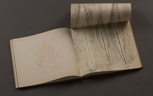 Дмитрий Плавинский. Книга Трав. 1963