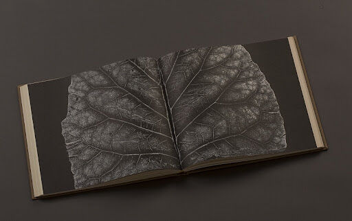 Дмитрий Плавинский. Книга Трав. 1963