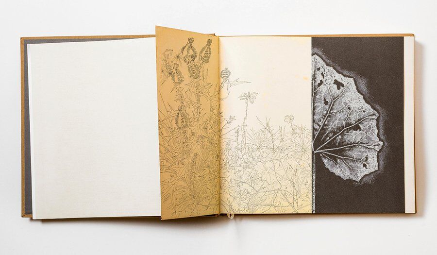 Дмитрий Плавинский. Книга Трав. 1963